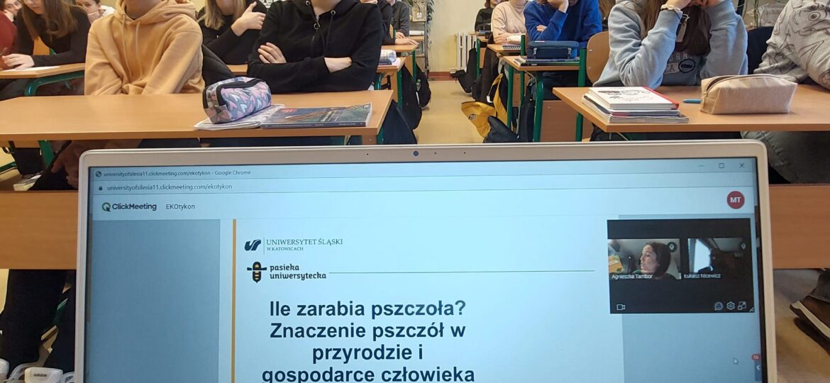 EKOTYKON, czyli co?