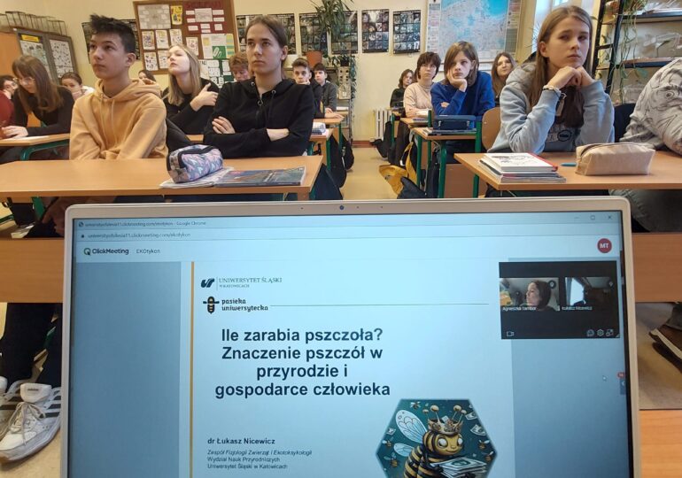 EKOTYKON, czyli co?