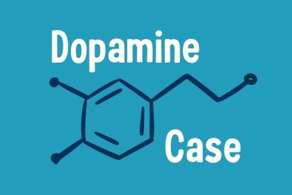 Projekt DopamineCase