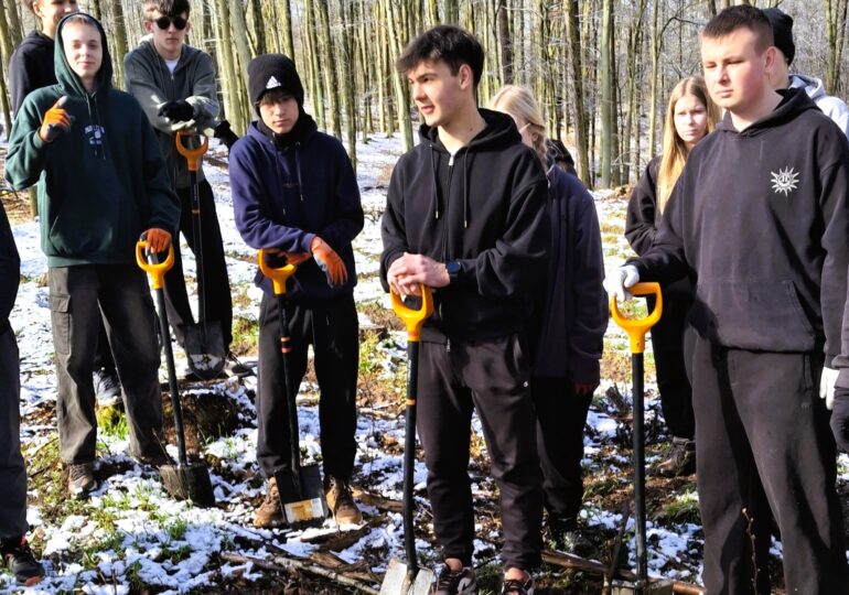 🌳 Graba dla Ziemi – czyli jak sadziliśmy przyszły las! 🌍